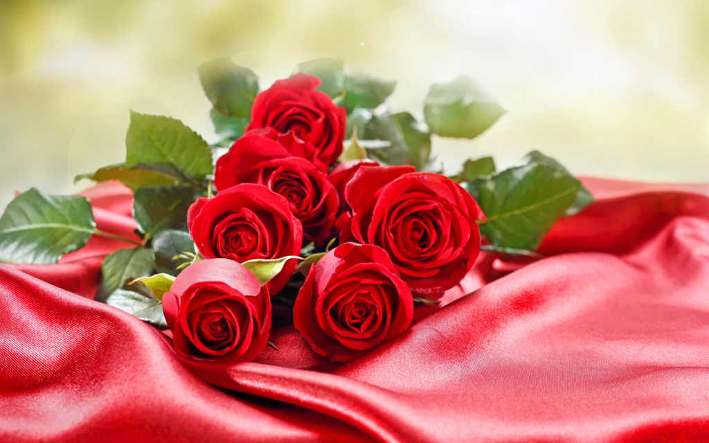 6 loài hoa ngày 20/11 thay lời tri ân dàng tặng thầy cô