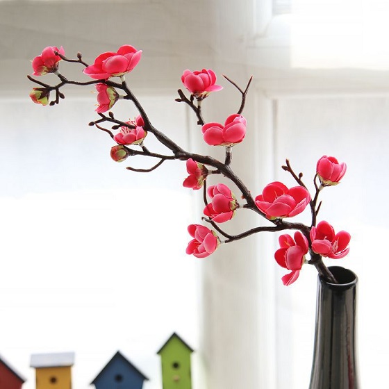 6 loài hoa thường dùng trong phong thủy và ý nghĩa của chúng