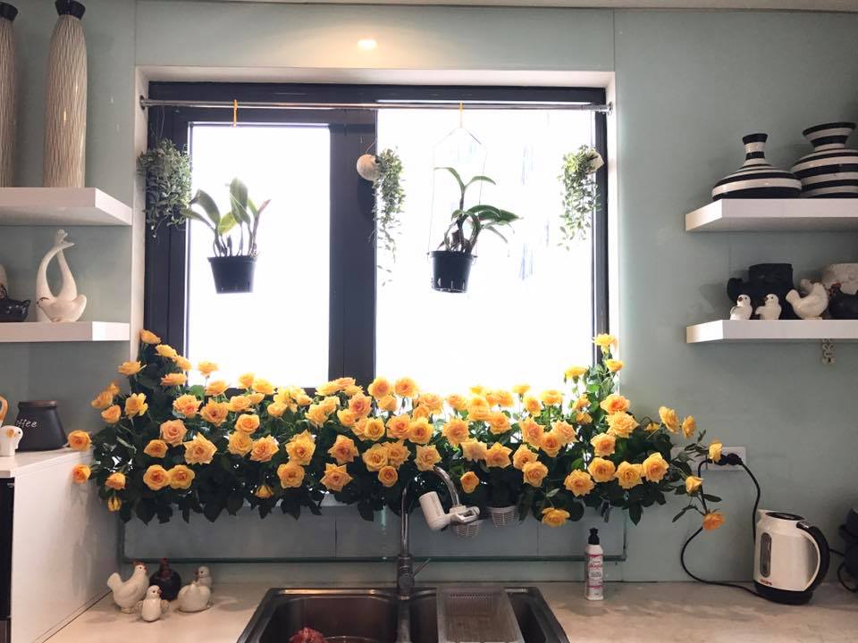 Tiết lộ 1 công thức Cắm hoa trong Bồn kính ai nhìn cũng mê