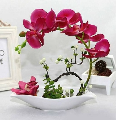 5 kiểu Cắm hoa lan tuyệt đẹp hợp phong thủy mang may mắn