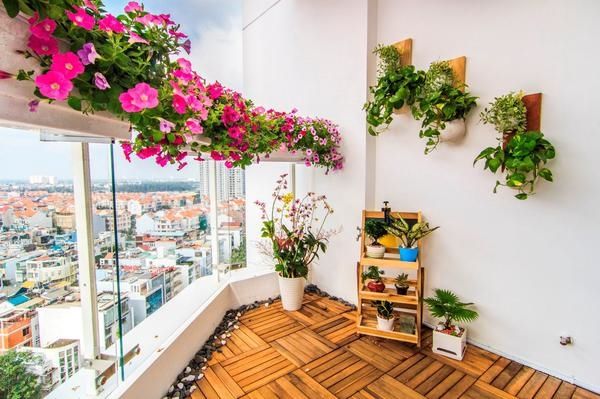 Lưu ý khi trồng Hoa ban công hợp Phong thủy hút tài lộc