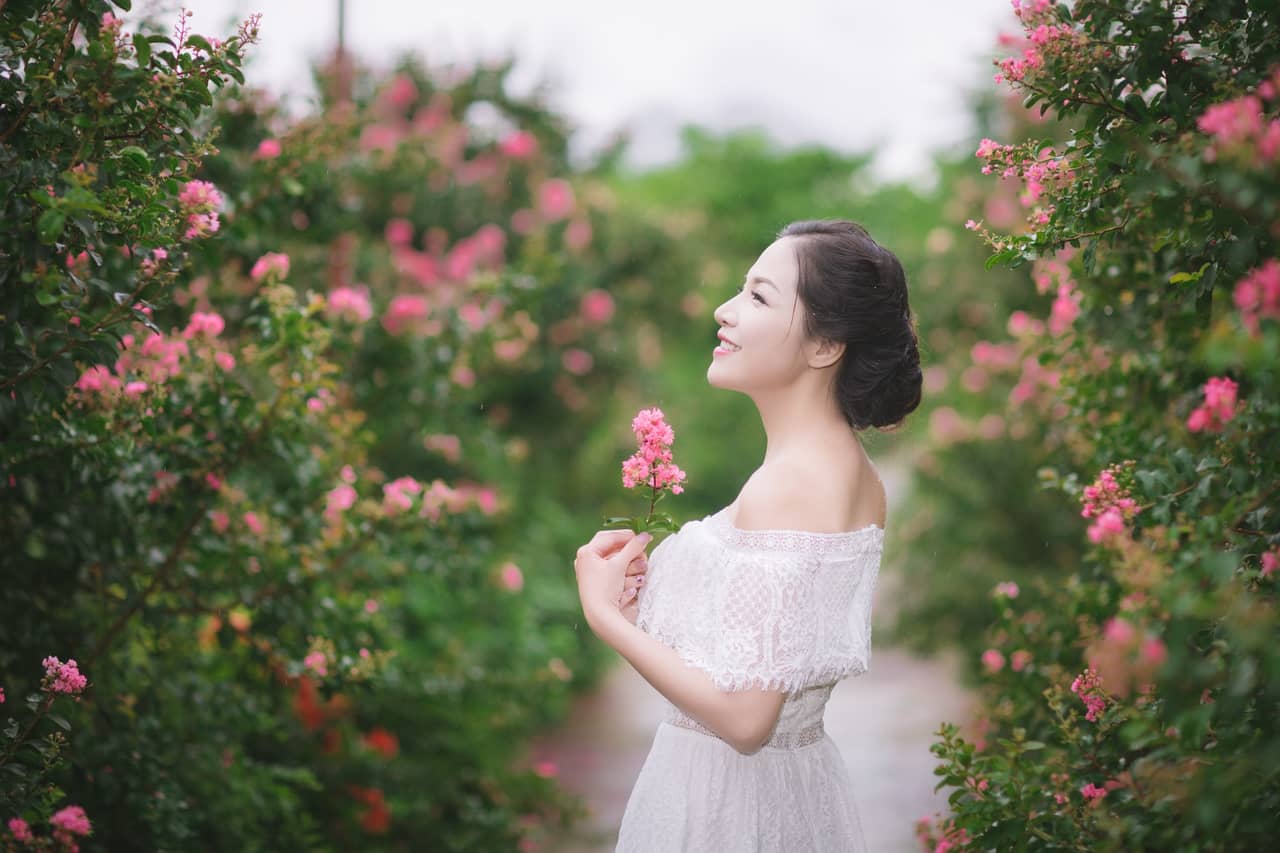 Sự tích hoa tường vi câu chuyện buồn về cô gái bất hạnh