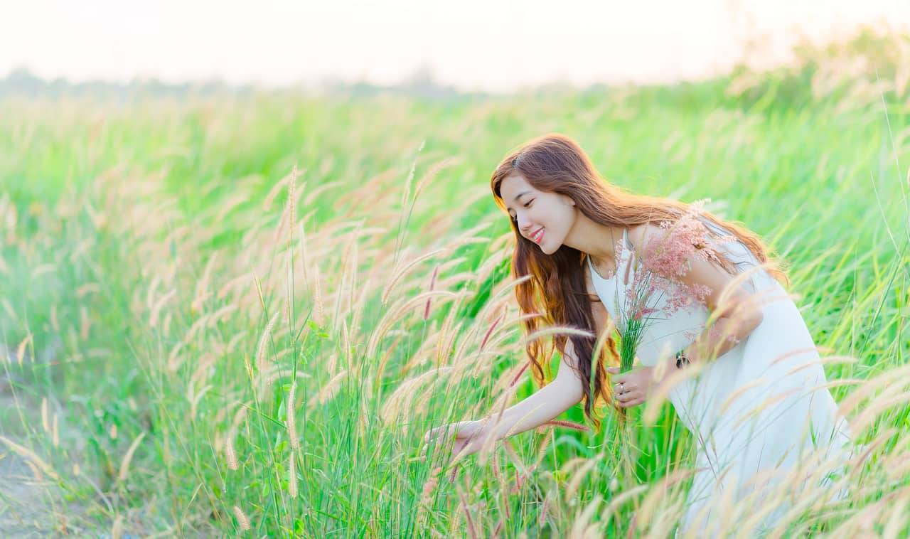 Ý nghĩa hoa cỏ may mọc dại nhưng ý chí kiên cường