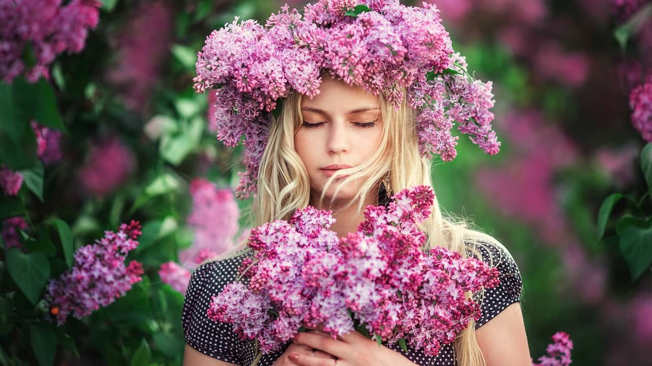 Ý nghĩa hoa tử đinh hương về cảm xúc đầu tiên của tình yêu