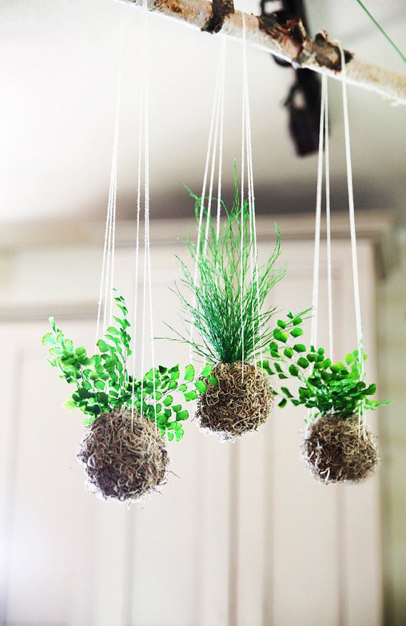 Hoa treo Kokedama phong cách Nhật Bản đẹp hút mắt