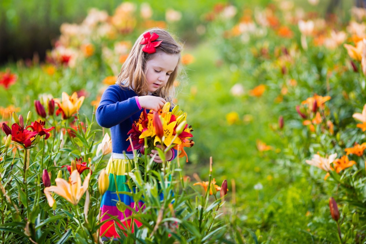 Sự tích hoa lily một lòng trao trọn trái tim trong tình yêu
