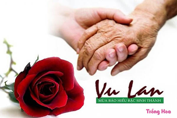 Cúng hoa gì vào ngày lễ Vu lan để báo hiếu bậc sinh thành?