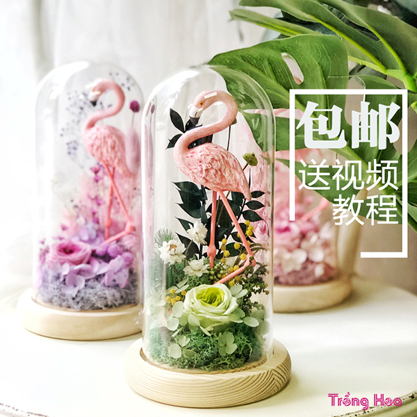 Top 5 mẫu hoa ngày 20/11 được các thầy cô yêu thích nhất