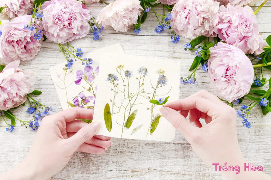 4 Cách tự làm hoa ép dễ dàng ngay tại nhà