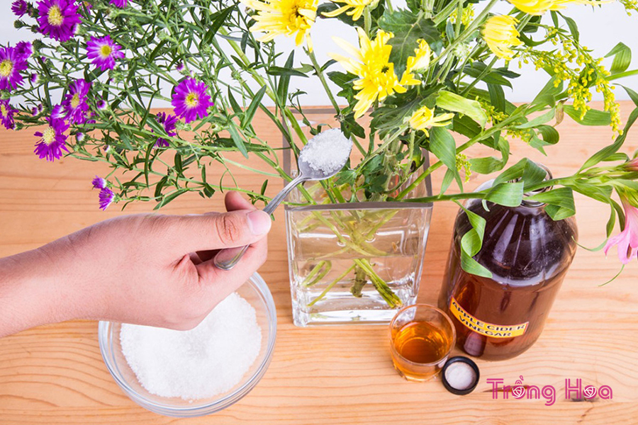 5 Mẹo để giữ hoa trông tươi ngay cả sau một tuần