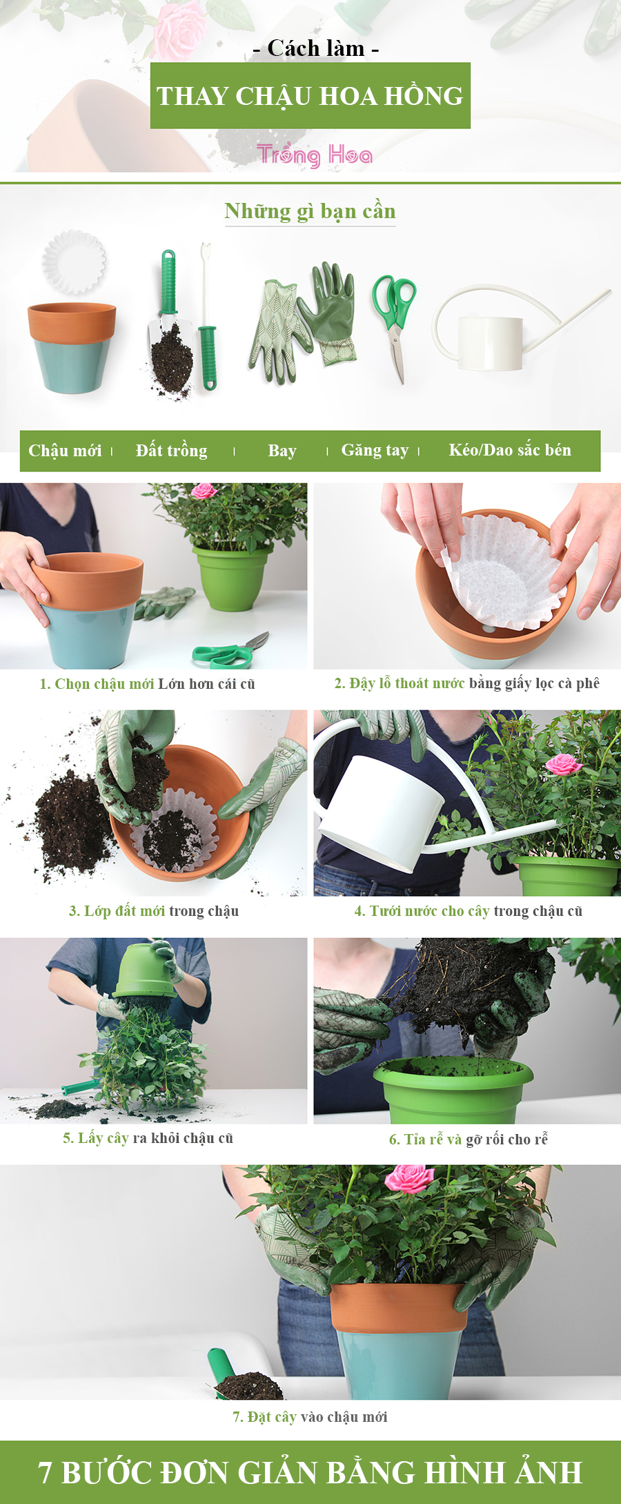 Cách thay chậu hoa hồng: 7 bước đơn giản bằng hình ảnh