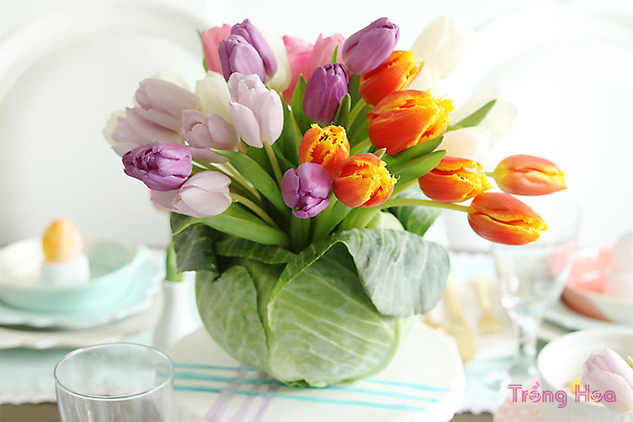 DIY: Gợi ý cách cắm hoa tulip bắp cải đẹp mà độc lạ