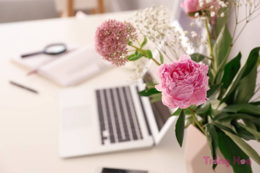 15 Loại hoa tốt nhất cho quà tặng Công ty